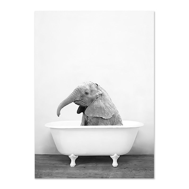 Animaux baignoire