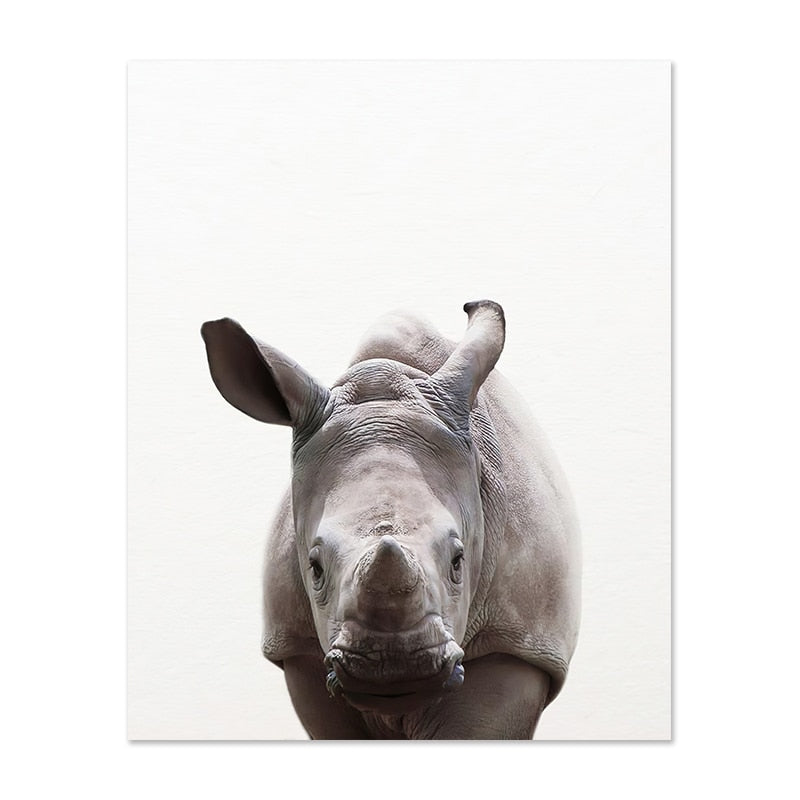 Bébé animaux Safari