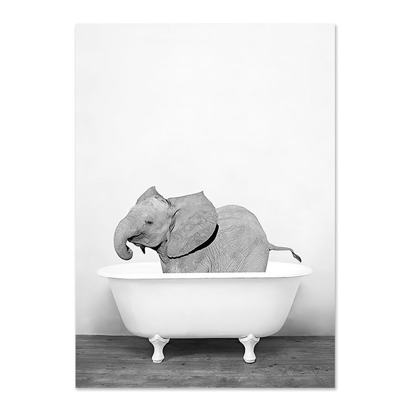 Animaux baignoire